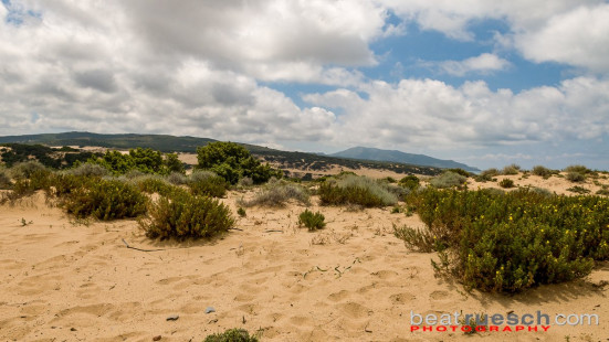 Sanddünen an der Costa Verde