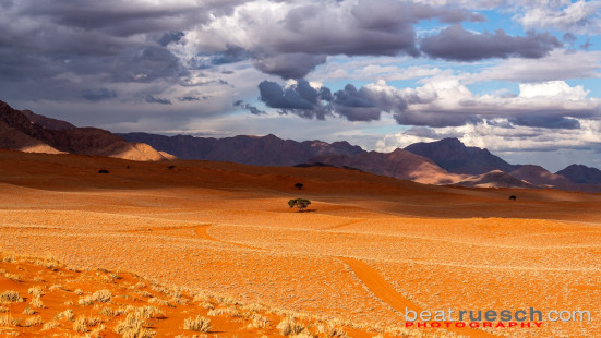 Im NamibRand Natur Reservat