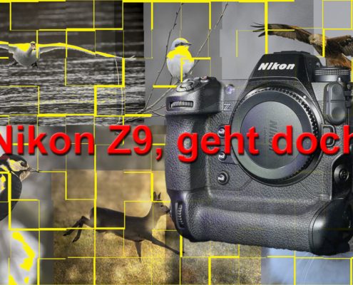 Nikon Z9, geht doch!